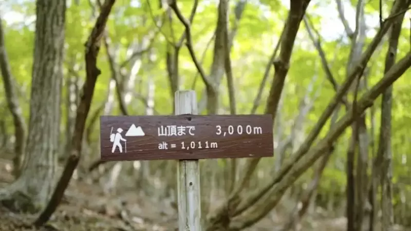 由布岳登山 由布岳正面口登山ルート