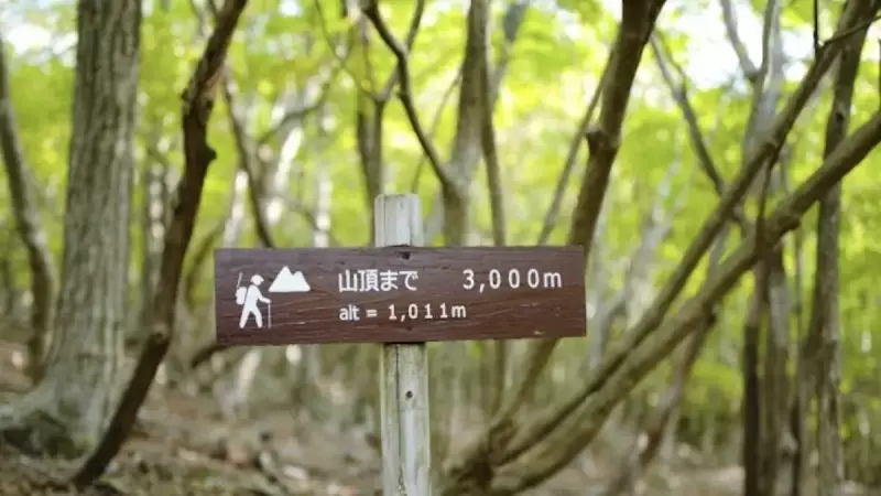 由布岳登山 由布岳正面口登山ルート