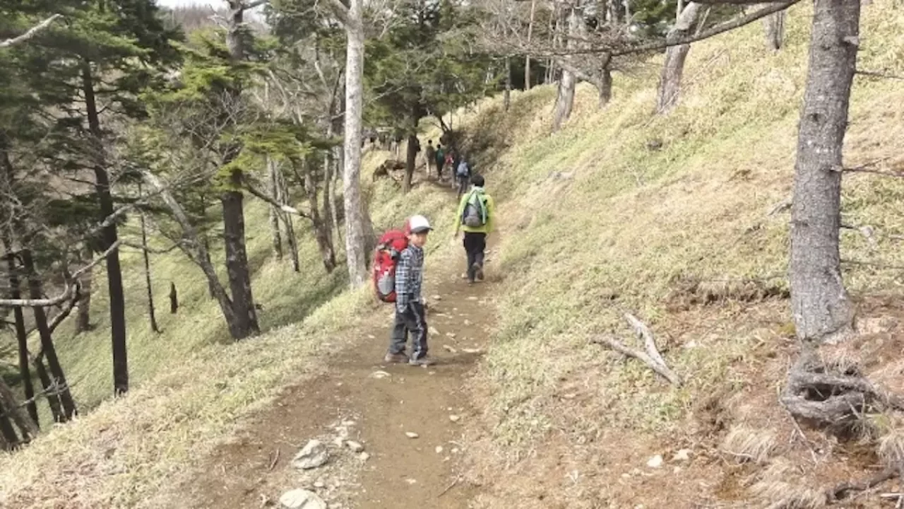 低山 登山 家族連れ