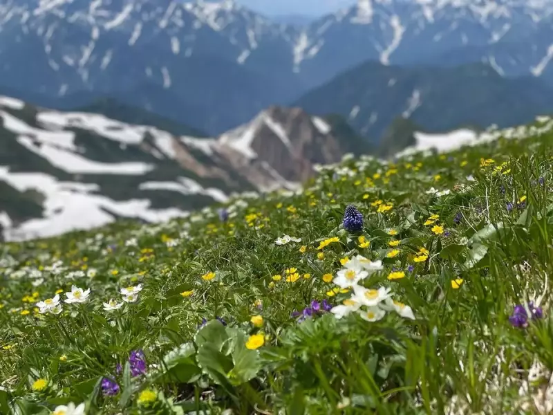 登山の魅力・楽しみ方-目的をもって楽しむ