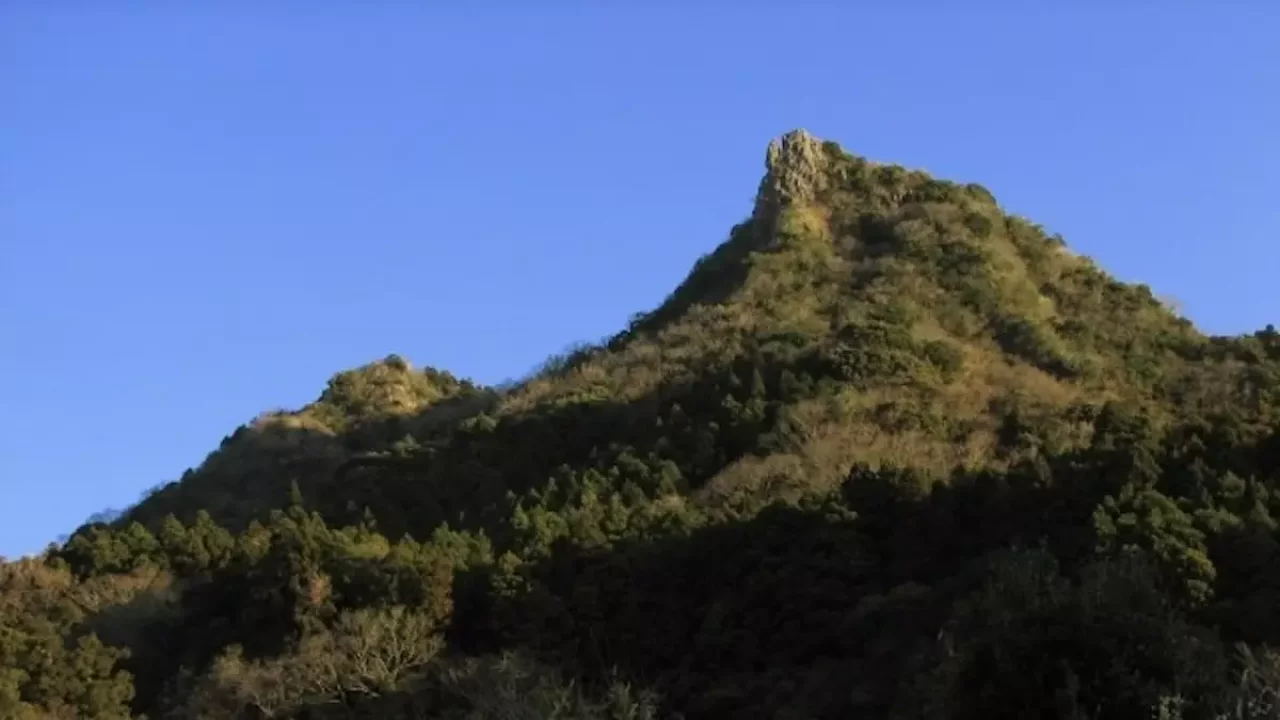 千葉 登山 伊予ヶ岳