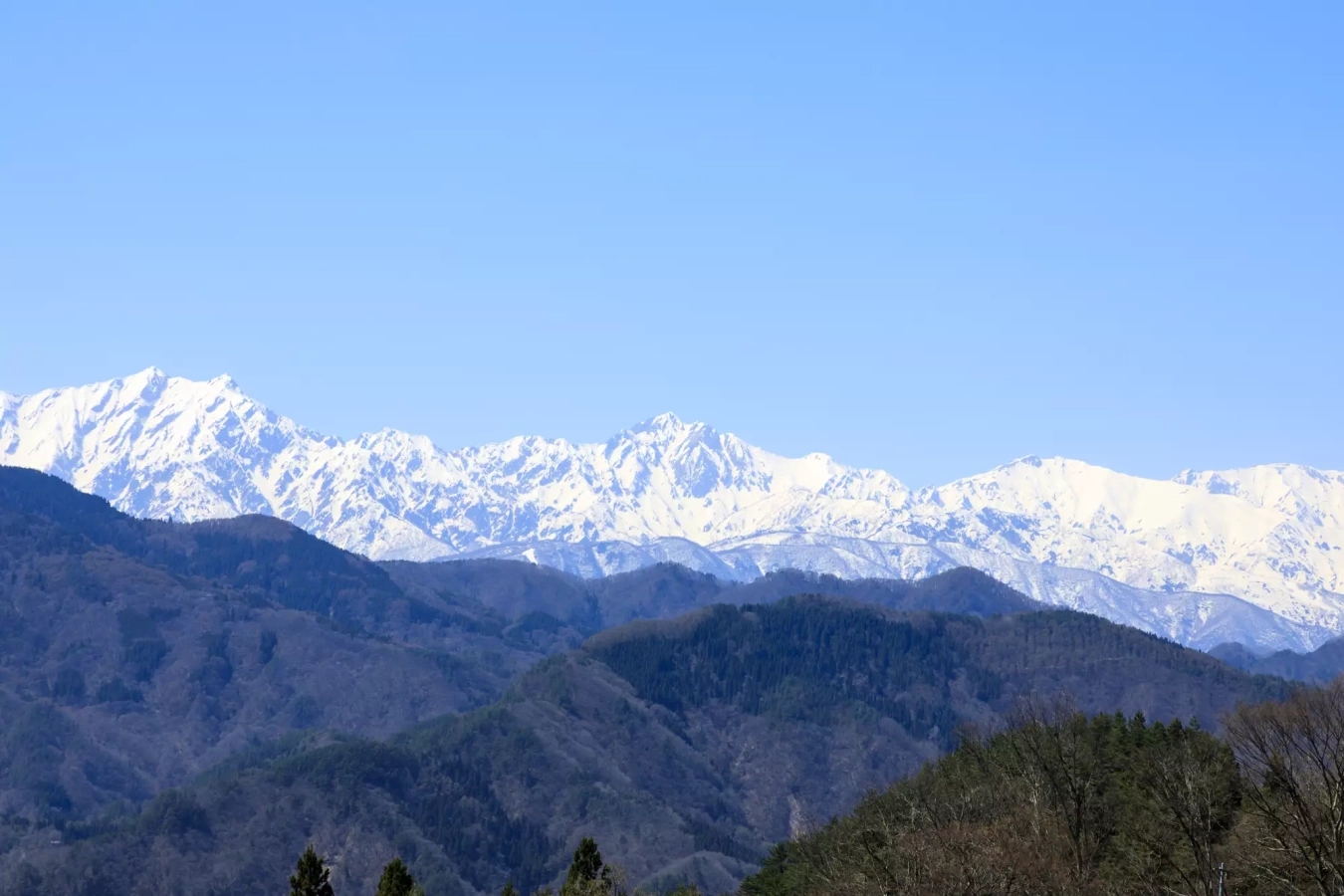 【北アルプスの大絶景!】初心者から楽しめる聖山の難易度別登山コース紹介
