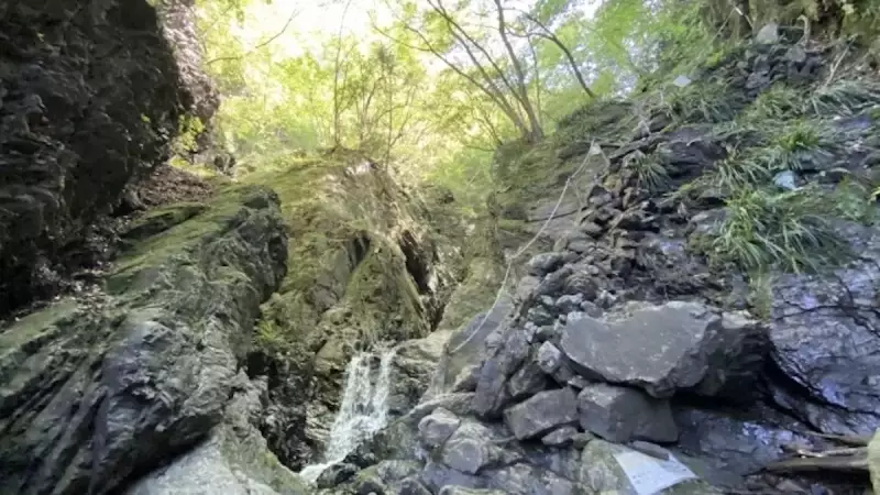 奥多摩 登山 棒ノ折山鎖場