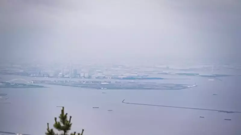 六甲山 登山 紅葉 大阪湾