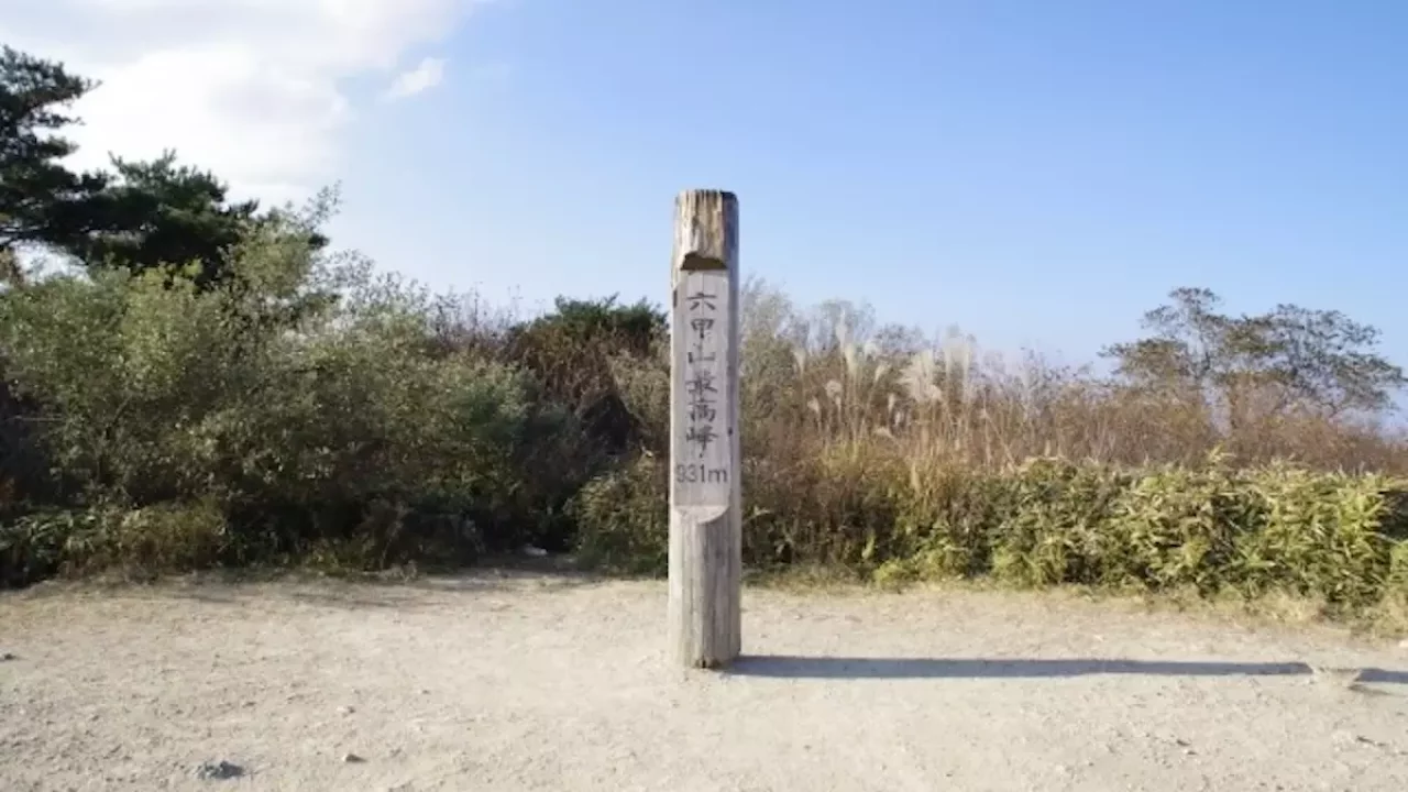 六甲山 登山 紅葉 山頂