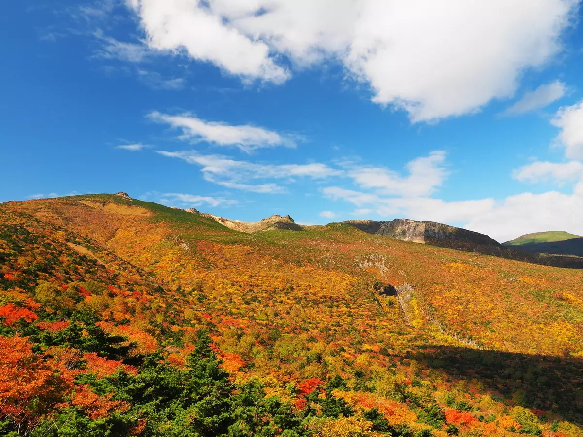 初心者が満喫できるおすすめ紅葉登山22選!【秋だけの絶景を拝みに行こう】