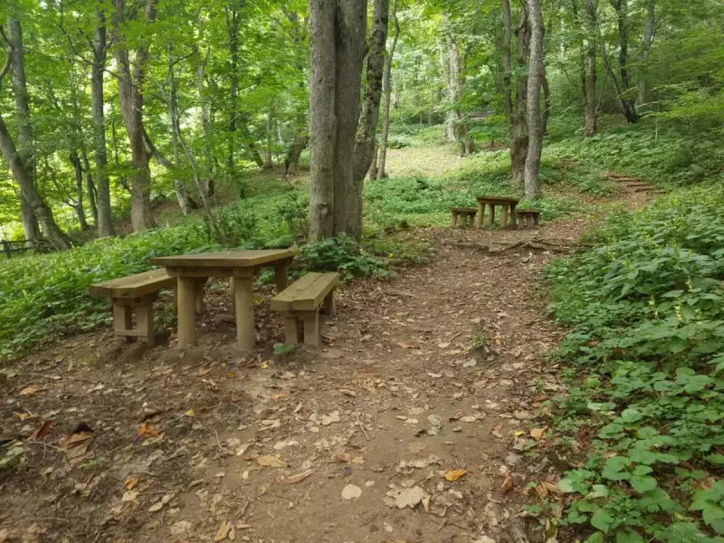 サワグルミの道
梵珠山 登山
