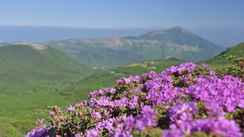 九州の日本百名山久住山