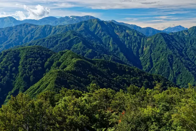 白鳥山から望む朝日岳