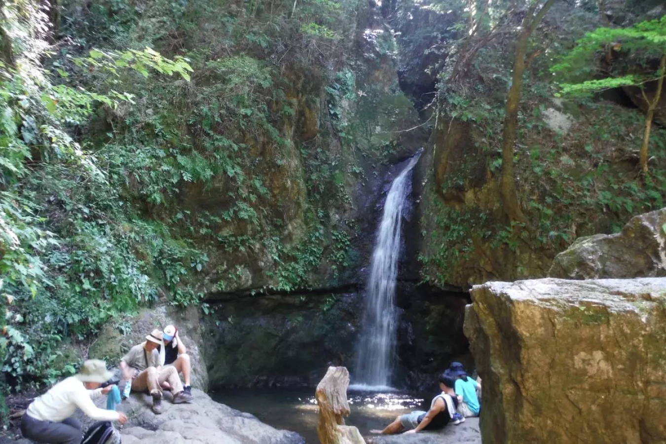 【御岳山ロックガーデン】ケーブルカーが誘う天空のオアシス!