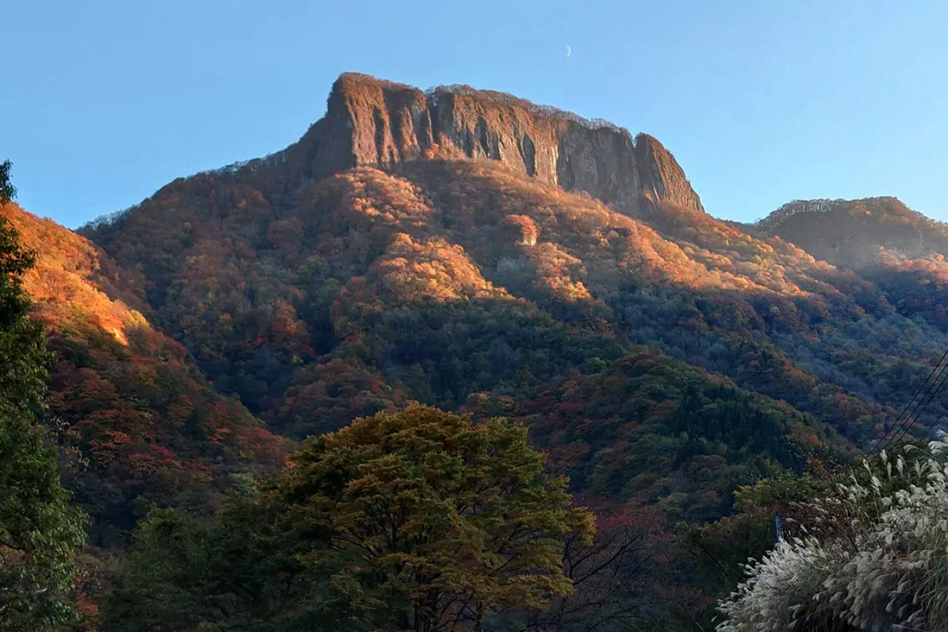 【緊急投稿】荒船山に迫る紅葉ピーク!真の絶景をギリギリまで見せます(2022年10月30日撮影)