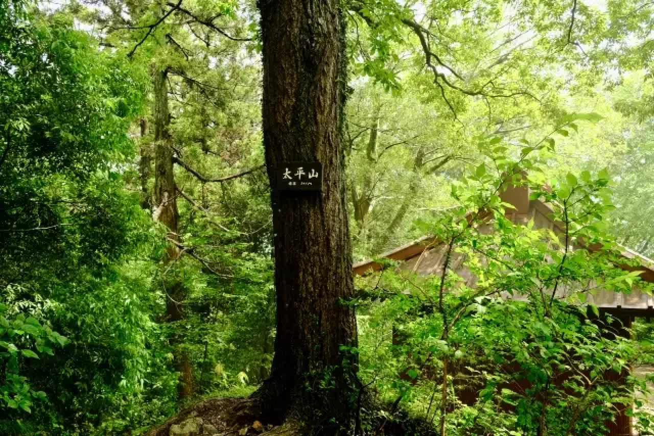 太平山山頂標識