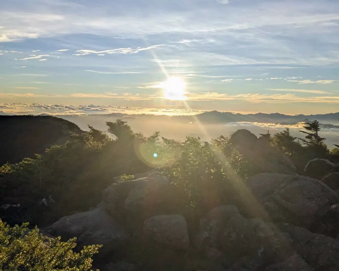 憧れの八ヶ岳体験記(北八ヶ岳編)白駒池~夏沢峠:<strong>人気の揚げパンや黒百合ヒュッテを楽しむ</strong>
