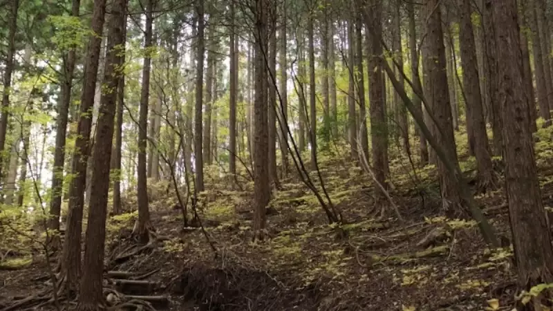奥多摩 登山 蕎麦粒山