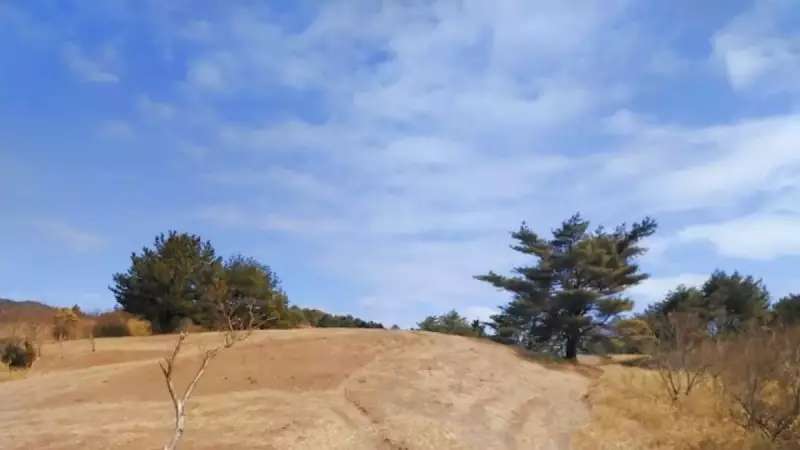 六甲山 登山 紅葉 東おたふく山