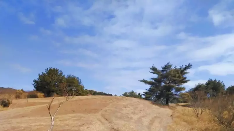 六甲山 登山 紅葉 東おたふく山