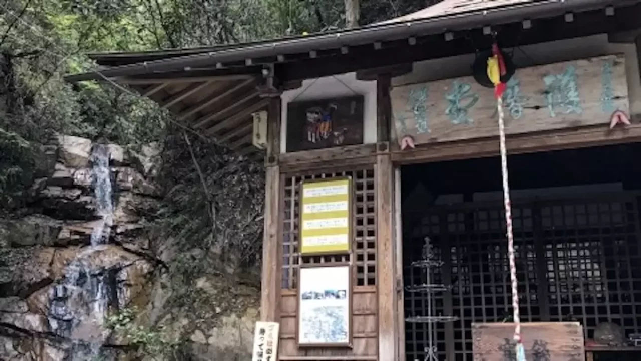 六甲山 登山 紅葉 滝の茶屋 高座の滝