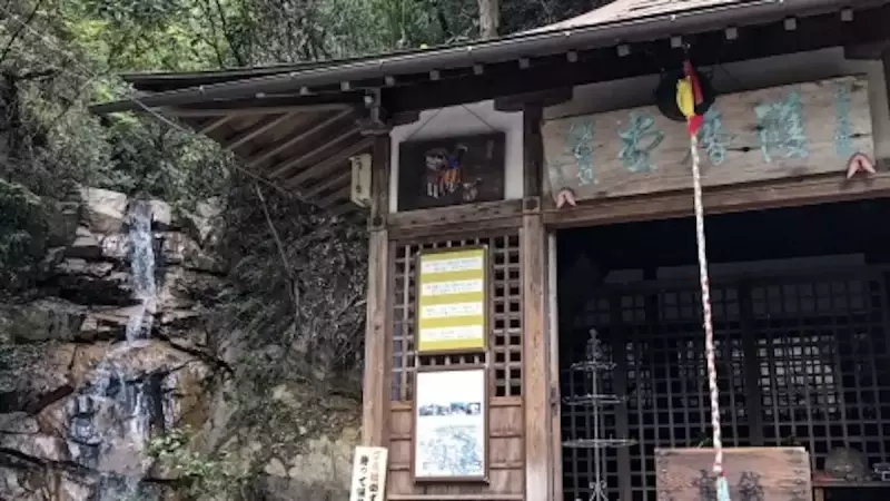 六甲山 登山 紅葉 滝の茶屋 高座の滝