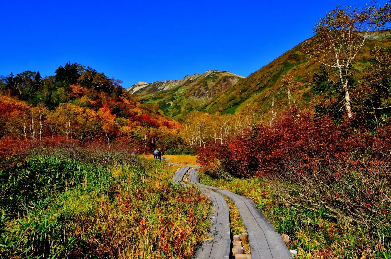 東海・北陸エリアのおすすめ紅葉登山12選!絶景紅葉スポットと登山コースを徹底解説