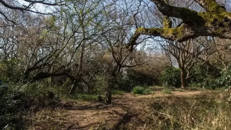 三浦アルプス 登山 畠山