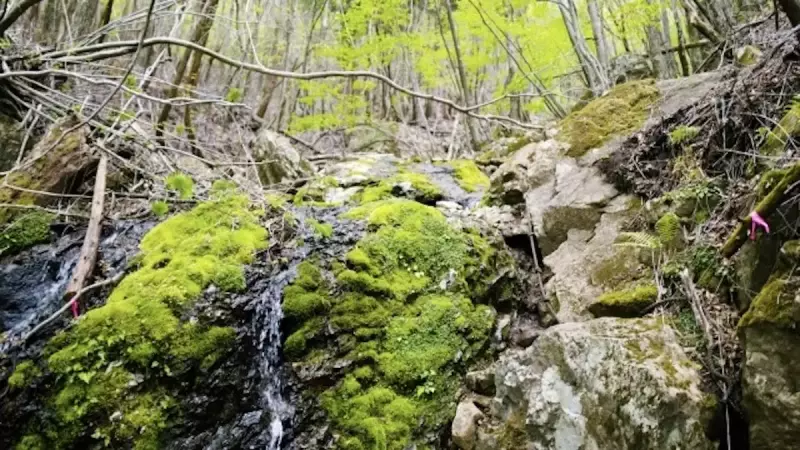 九州の百名山祖母山のロープ場