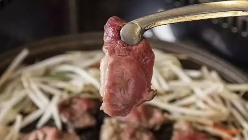 六甲山 登山 紅葉 ジンギスカンパレス