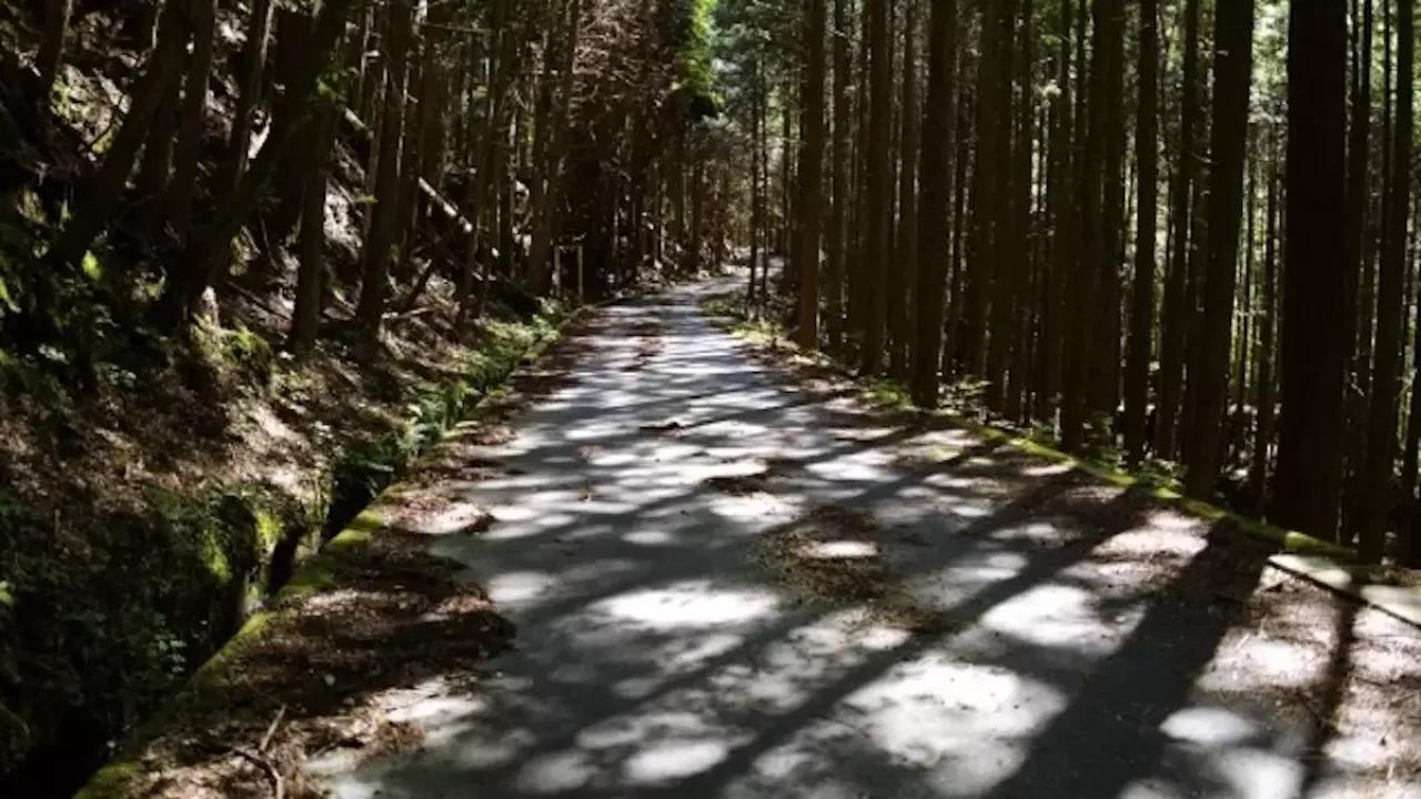 恵那山登山口までの林道