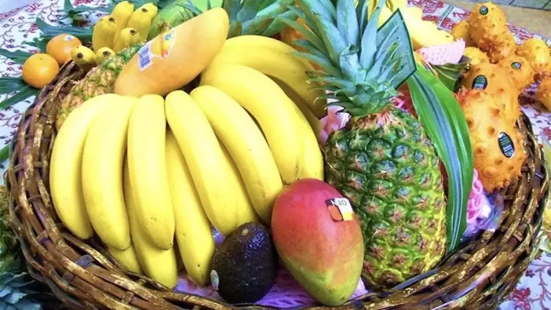 低山 登山 名古屋市東谷山フルーツパーク