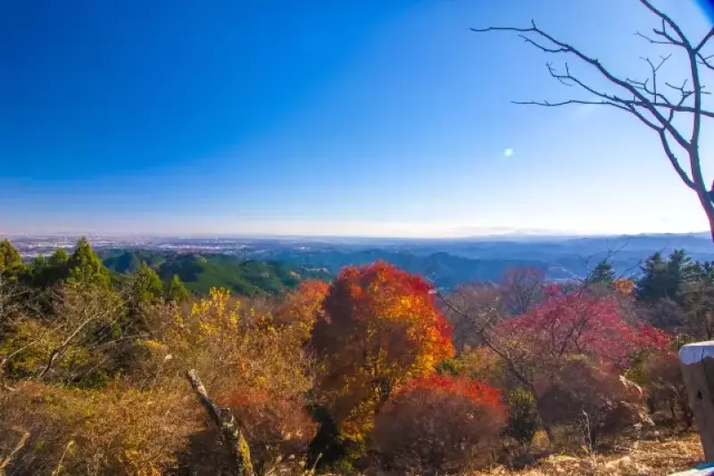 関八州見晴台の紅葉