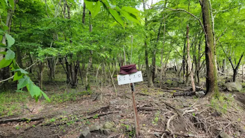大船山登山今水登山ルート