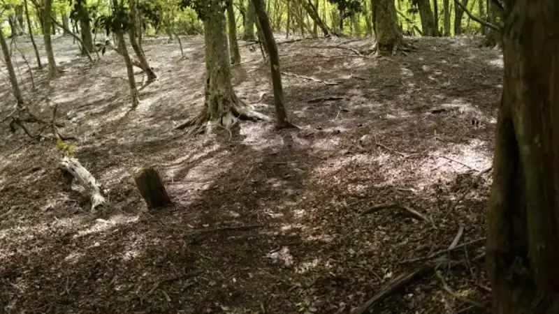由布岳登山 由布岳正面登山口ルート合野越