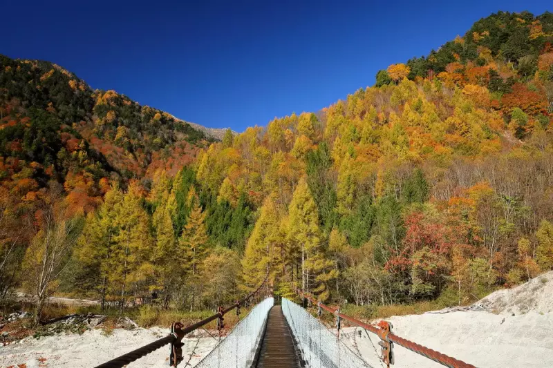 不動沢吊り橋