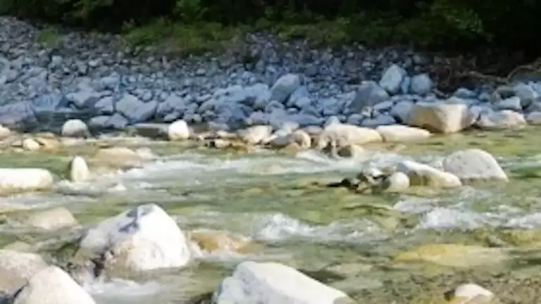 恵那山前宮ルートの沢