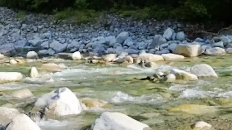 恵那山前宮ルートの沢