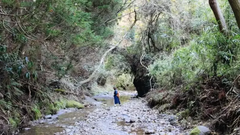 千葉 登山 大福山