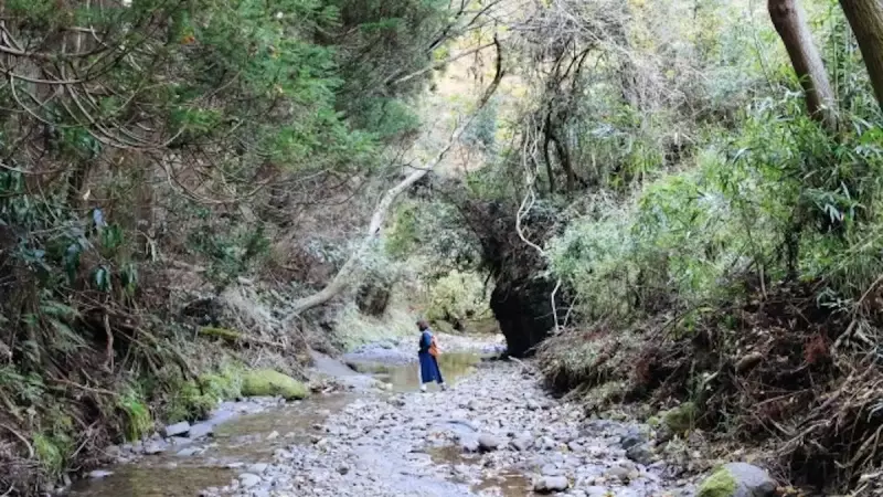 千葉 登山 大福山