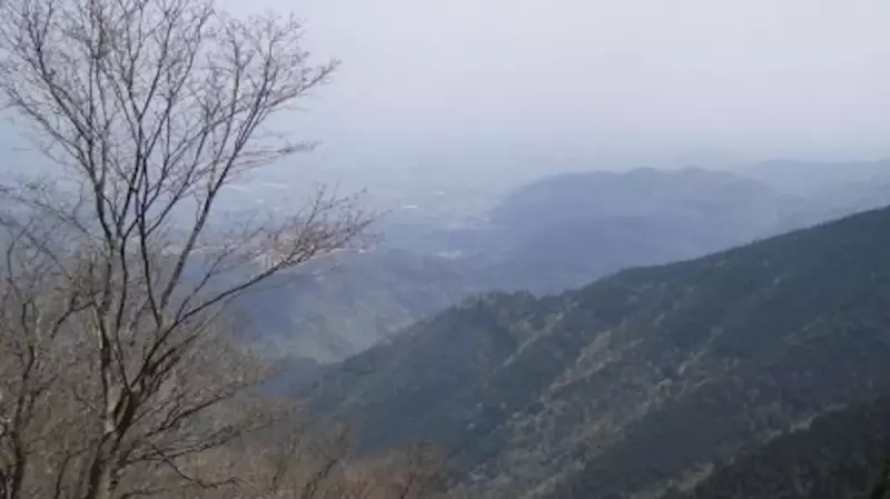 愛宕山 登山 京都の眺め