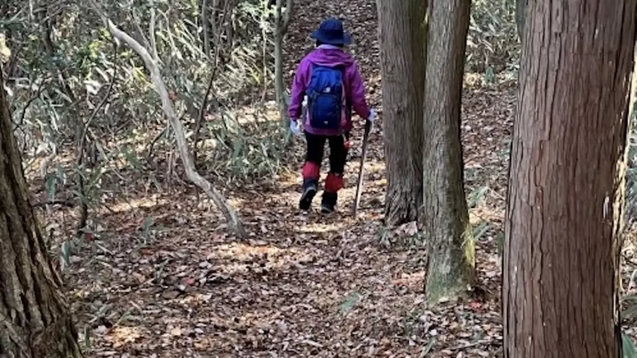 愛宕山 登山 水尾コース