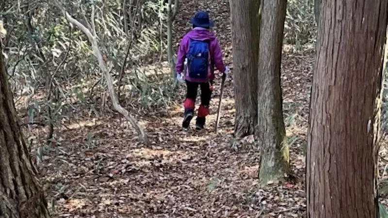 愛宕山 登山 水尾コース