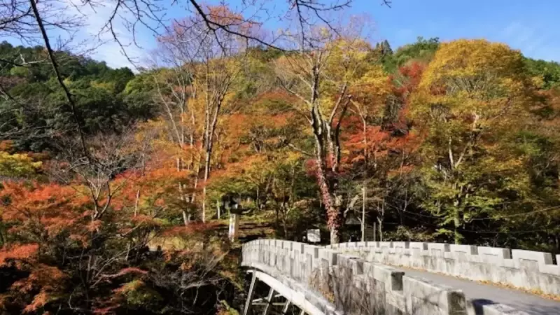 愛宕山 登山 清滝登山口