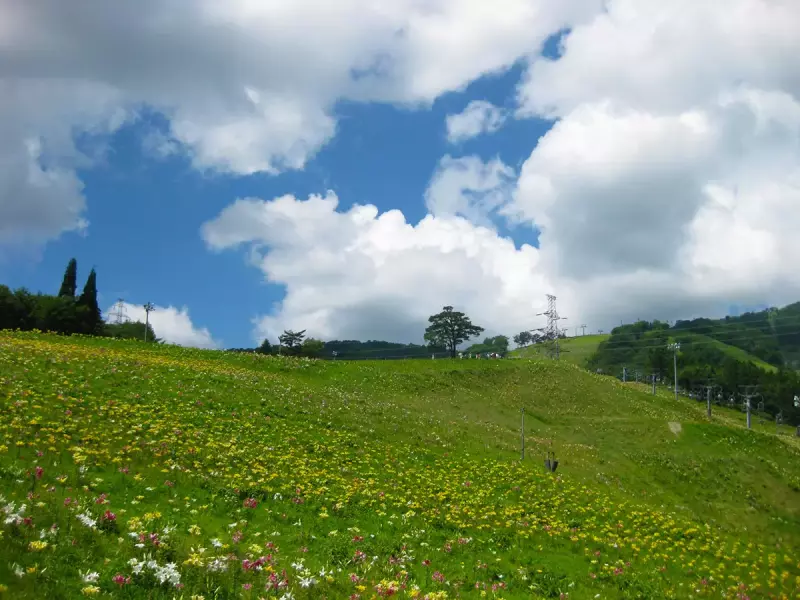ダイナランドスキー場