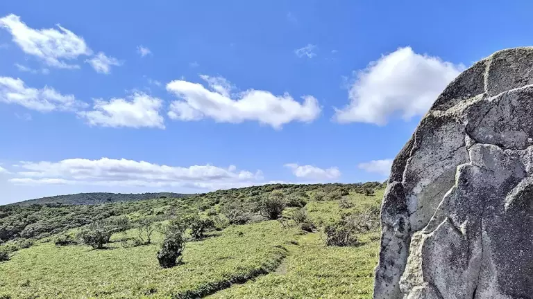 関西 登山 段ヶ峰