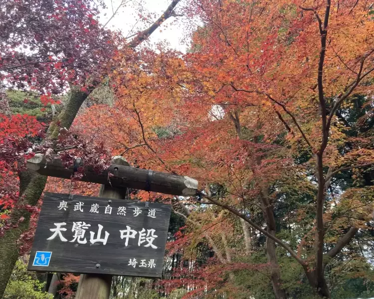 天覧山の紅葉