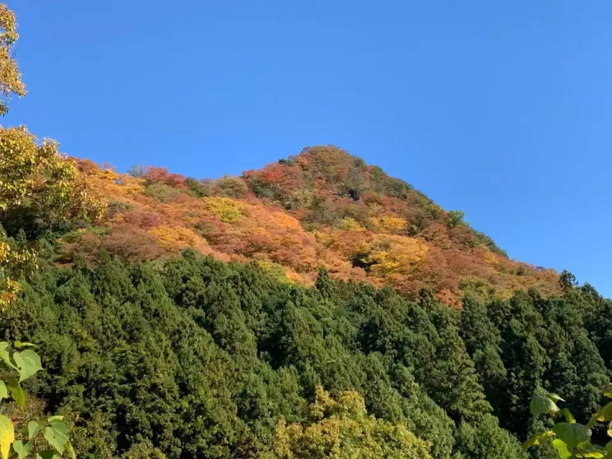 【日帰り登山】茨城のジャンダルムに立つ!生瀬富士|難易度別ルートと登山口各種情報をご紹介