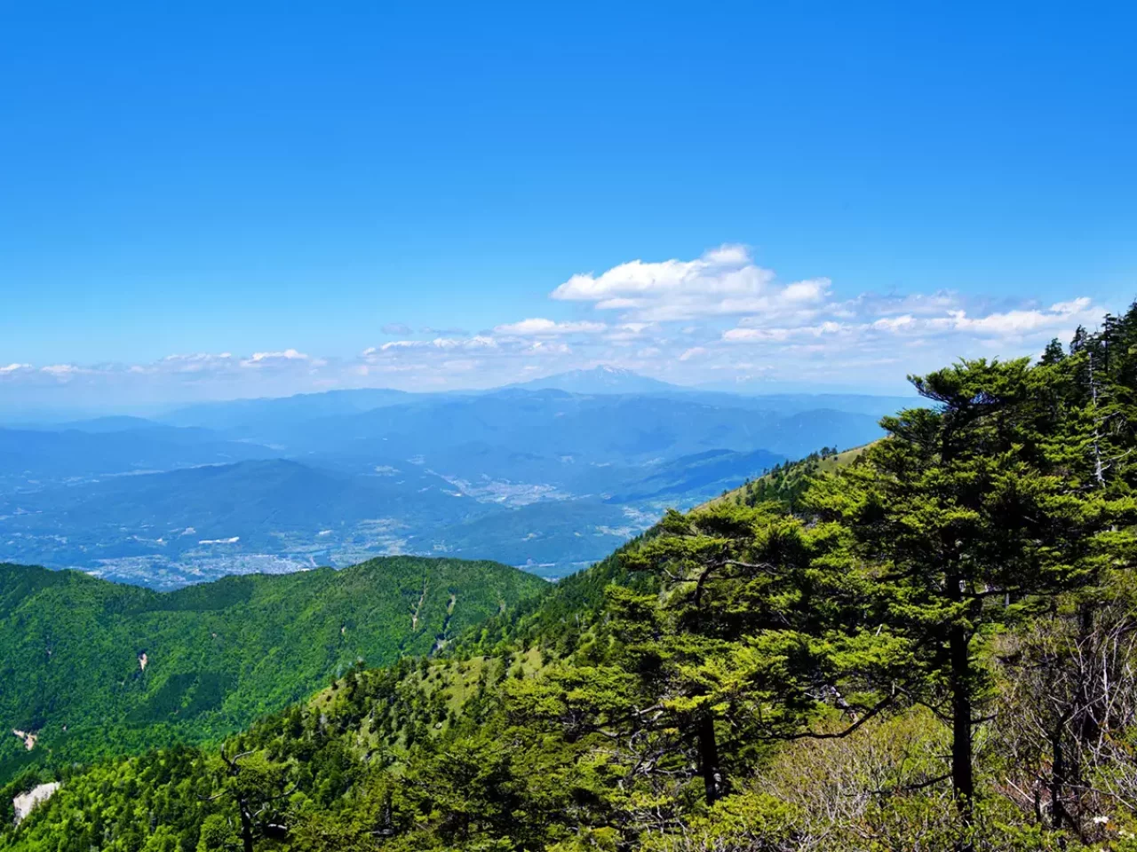 百名山 恵那山 阿智セブンサミット