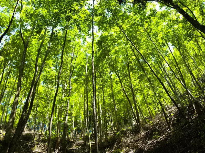 恵那山の登山ルート