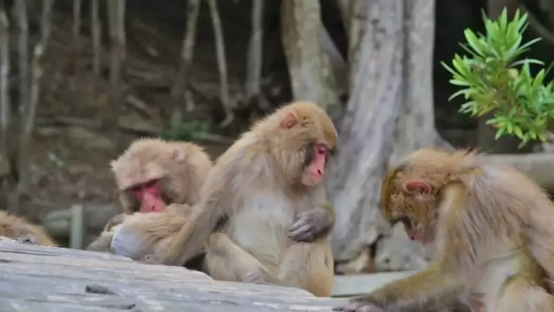 千葉 登山 高宕山