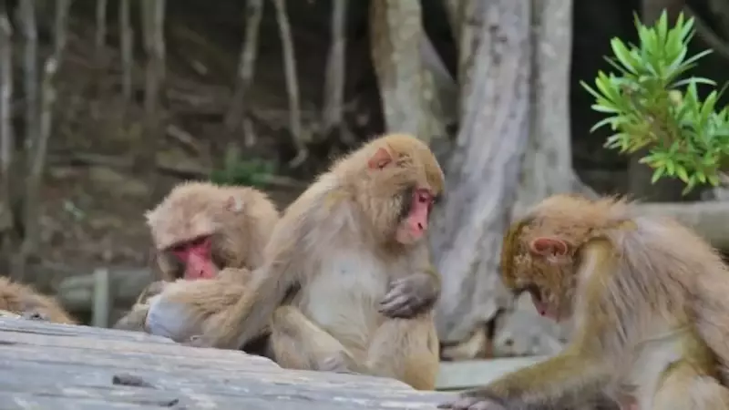千葉 登山 高宕山