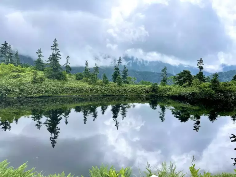 鏡池の風景