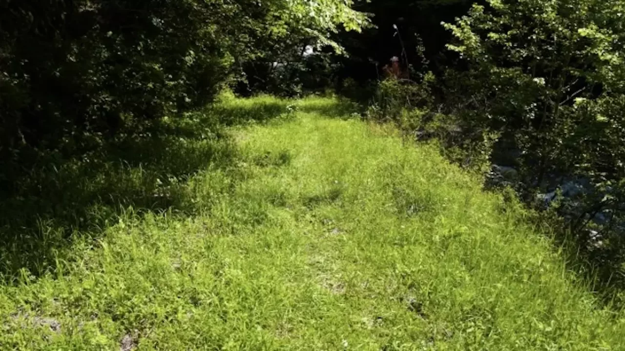 恵那山の登山道